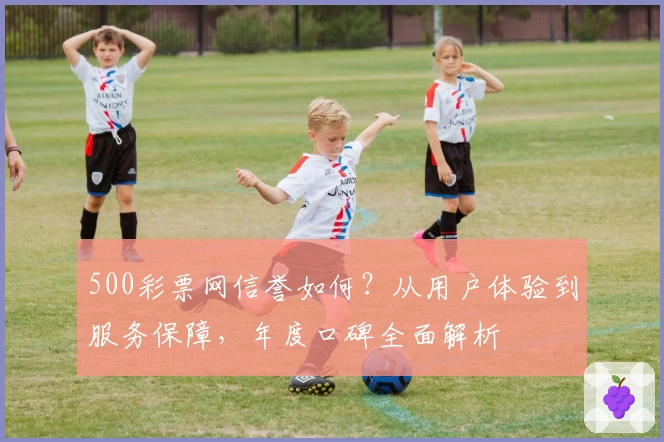 500彩票网信誉如何？从用户体验到服务保障，年度口碑全面解析