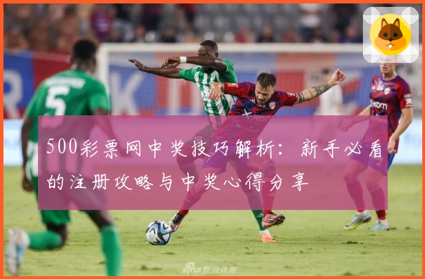 500彩票网中奖技巧解析：新手必看的注册攻略与中奖心得分享